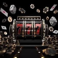 djbet com