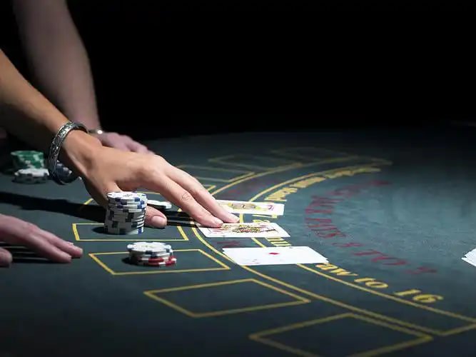 djbet com djbet com
